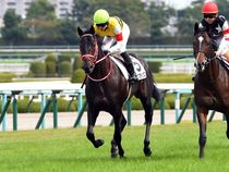 ����å��ǳ��������ɽ�����ޤ�