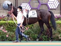 ����å��ǳ��������ɽ�����ޤ�