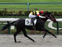 ����å��ǳ��������ɽ�����ޤ�