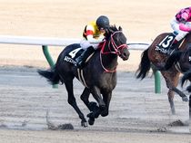 ����å��ǳ��������ɽ�����ޤ�