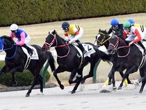 ����å��ǳ��������ɽ�����ޤ�