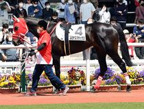 ����å��ǳ��������ɽ�����ޤ�