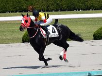 ����å��ǳ��������ɽ�����ޤ�