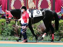 ����å��ǳ��������ɽ�����ޤ�