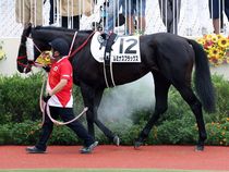 ����å��ǳ��������ɽ�����ޤ�