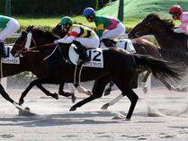 ����å��ǳ��������ɽ�����ޤ�