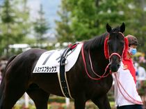 ����å��ǳ��������ɽ�����ޤ�