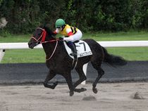 ����å��ǳ��������ɽ�����ޤ�