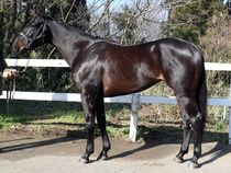 ����å��ǳ��������ɽ�����ޤ�