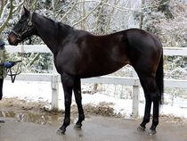 ����å��ǳ��������ɽ�����ޤ�