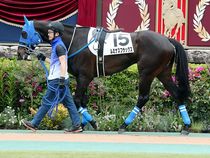 ����å��ǳ��������ɽ�����ޤ�