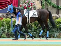 ����å��ǳ��������ɽ�����ޤ�