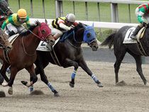 ����å��ǳ��������ɽ�����ޤ�