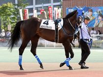 ����å��ǳ��������ɽ�����ޤ�