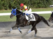 ����å��ǳ��������ɽ�����ޤ�