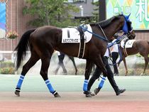 ����å��ǳ��������ɽ�����ޤ�