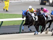 ����å��ǳ��������ɽ�����ޤ�