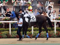 ����å��ǳ��������ɽ�����ޤ�