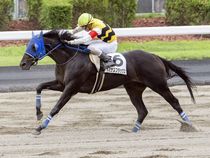 ����å��ǳ��������ɽ�����ޤ�