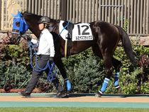 ����å��ǳ��������ɽ�����ޤ�