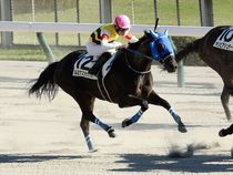 ����å��ǳ��������ɽ�����ޤ�