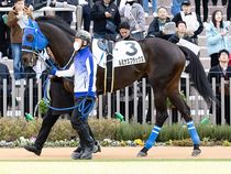 ����å��ǳ��������ɽ�����ޤ�