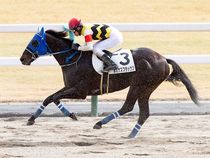 ����å��ǳ��������ɽ�����ޤ�