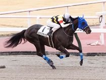 ����å��ǳ��������ɽ�����ޤ�