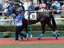 ����å��ǳ��������ɽ�����ޤ�