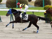 ����å��ǳ��������ɽ�����ޤ�