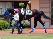 ����å��ǳ��������ɽ�����ޤ�