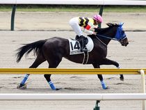 ����å��ǳ��������ɽ�����ޤ�