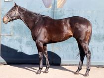 ����å��ǳ��������ɽ�����ޤ�