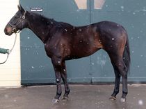 ����å��ǳ��������ɽ�����ޤ�