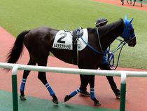 ����å��ǳ��������ɽ�����ޤ�