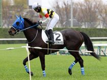 ����å��ǳ��������ɽ�����ޤ�