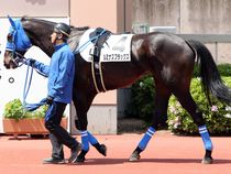 ����å��ǳ��������ɽ�����ޤ�