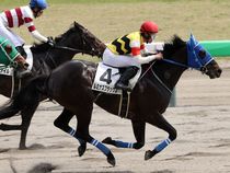 ����å��ǳ��������ɽ�����ޤ�