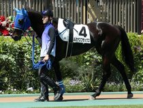 ����å��ǳ��������ɽ�����ޤ�