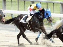 ����å��ǳ��������ɽ�����ޤ�