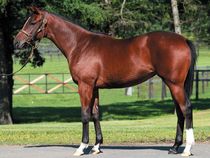 ����å��ǳ��������ɽ�����ޤ�