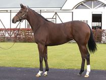 ����å��ǳ��������ɽ�����ޤ�