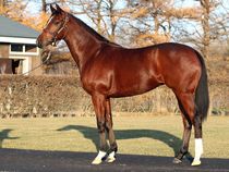 ����å��ǳ��������ɽ�����ޤ�