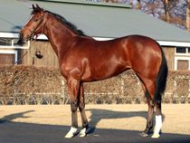 ����å��ǳ��������ɽ�����ޤ�