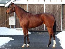 ����å��ǳ��������ɽ�����ޤ�