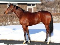 ����å��ǳ��������ɽ�����ޤ�