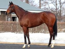 ����å��ǳ��������ɽ�����ޤ�