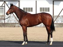 ����å��ǳ��������ɽ�����ޤ�