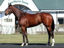 ����å��ǳ��������ɽ�����ޤ�