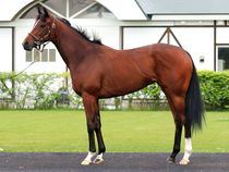 ����å��ǳ��������ɽ�����ޤ�